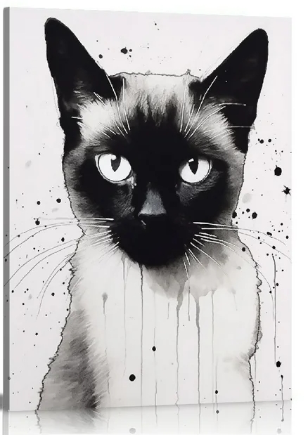 half siamese cat black and white